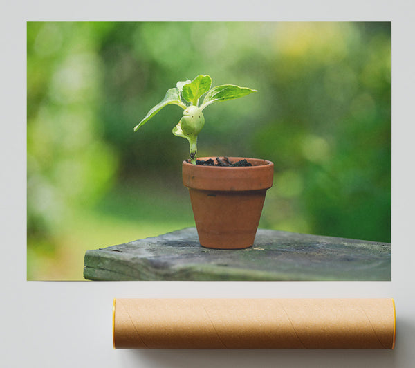 Green Terracotta Life Giclee Print