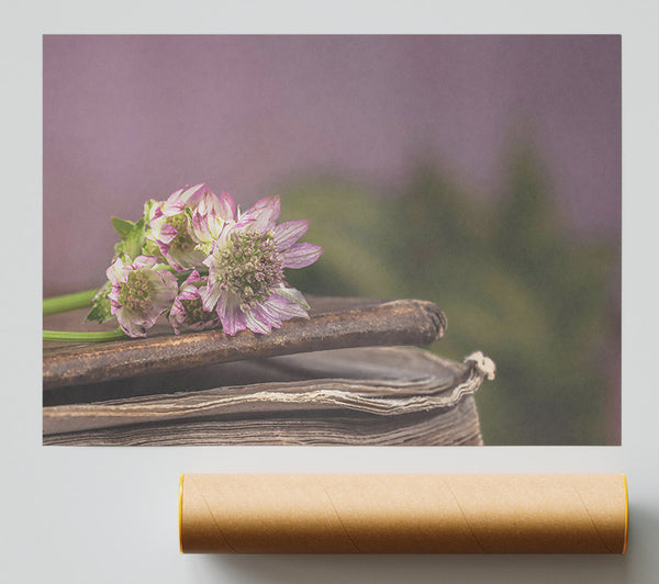 Lavender Bloom On Books Giclee Print