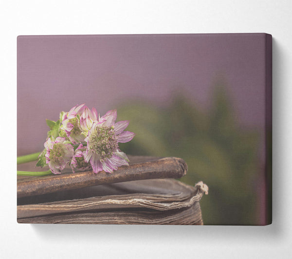  A Canvas Print of Lavender Bloom On Books Canvas Wall Art