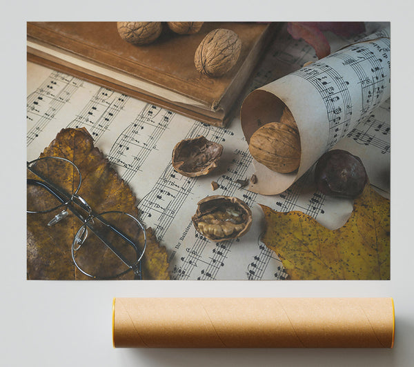 Brown Notes And Shells. Poster