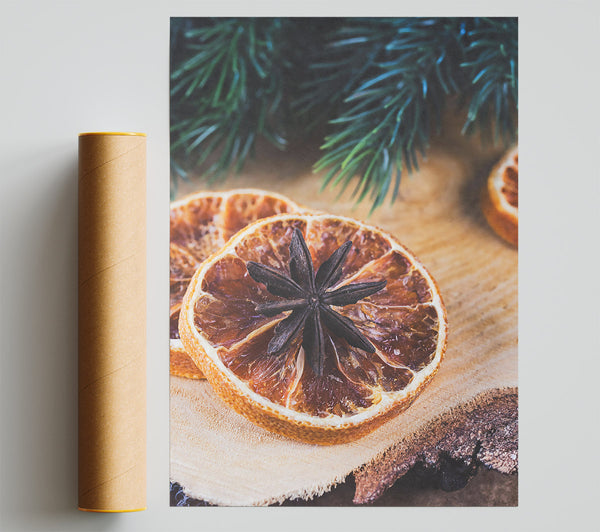 Orange Star Anise Slice Giclee Print