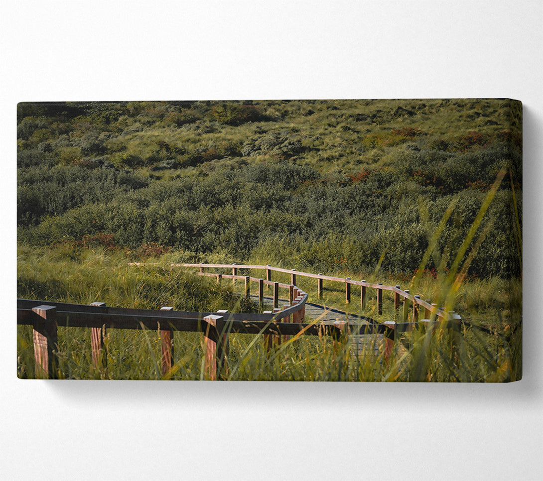  A Canvas Print of Green Path To The Woods Canvas Art
