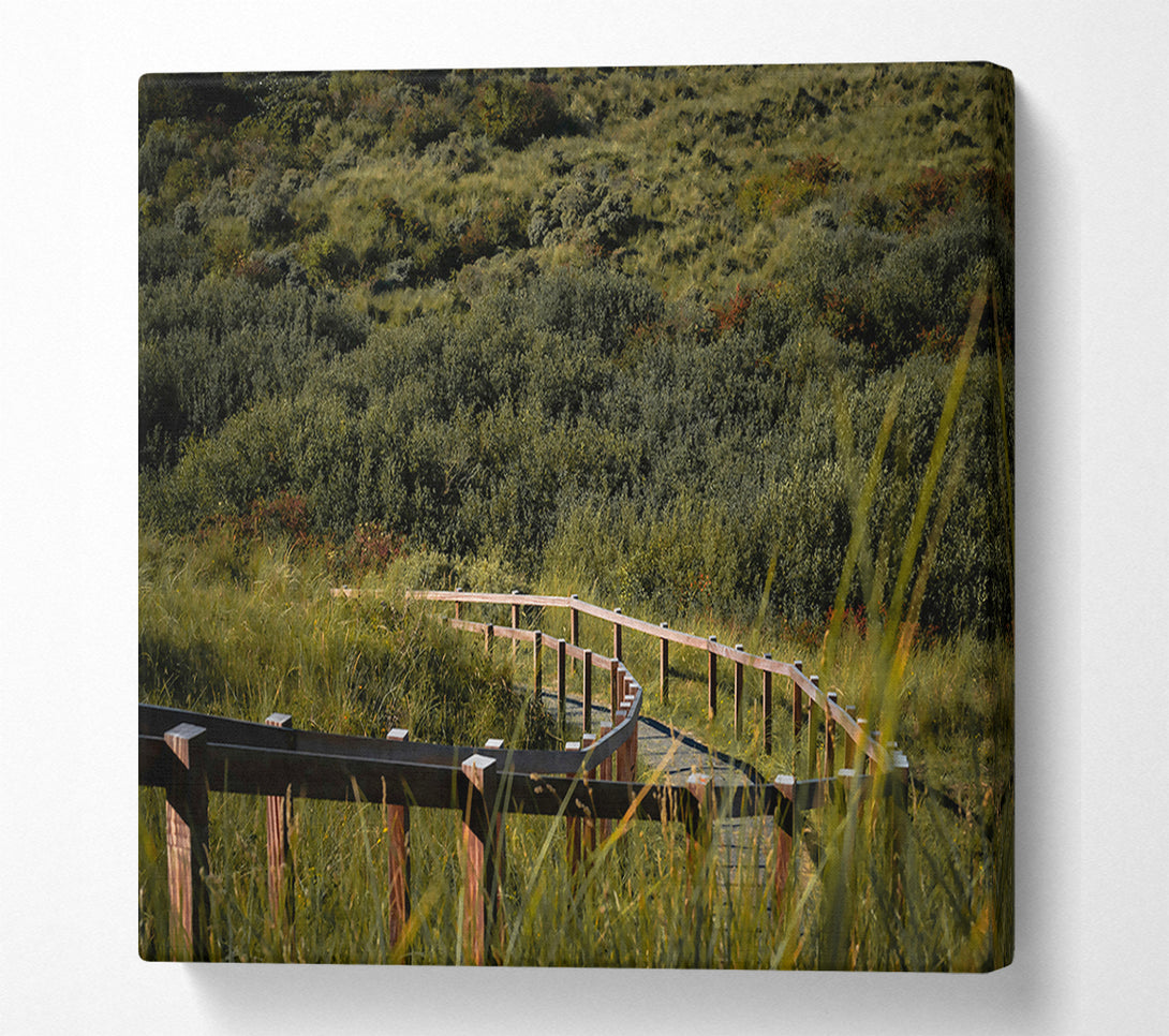  A Canvas Print of Green Path To The Woods Canvas Art