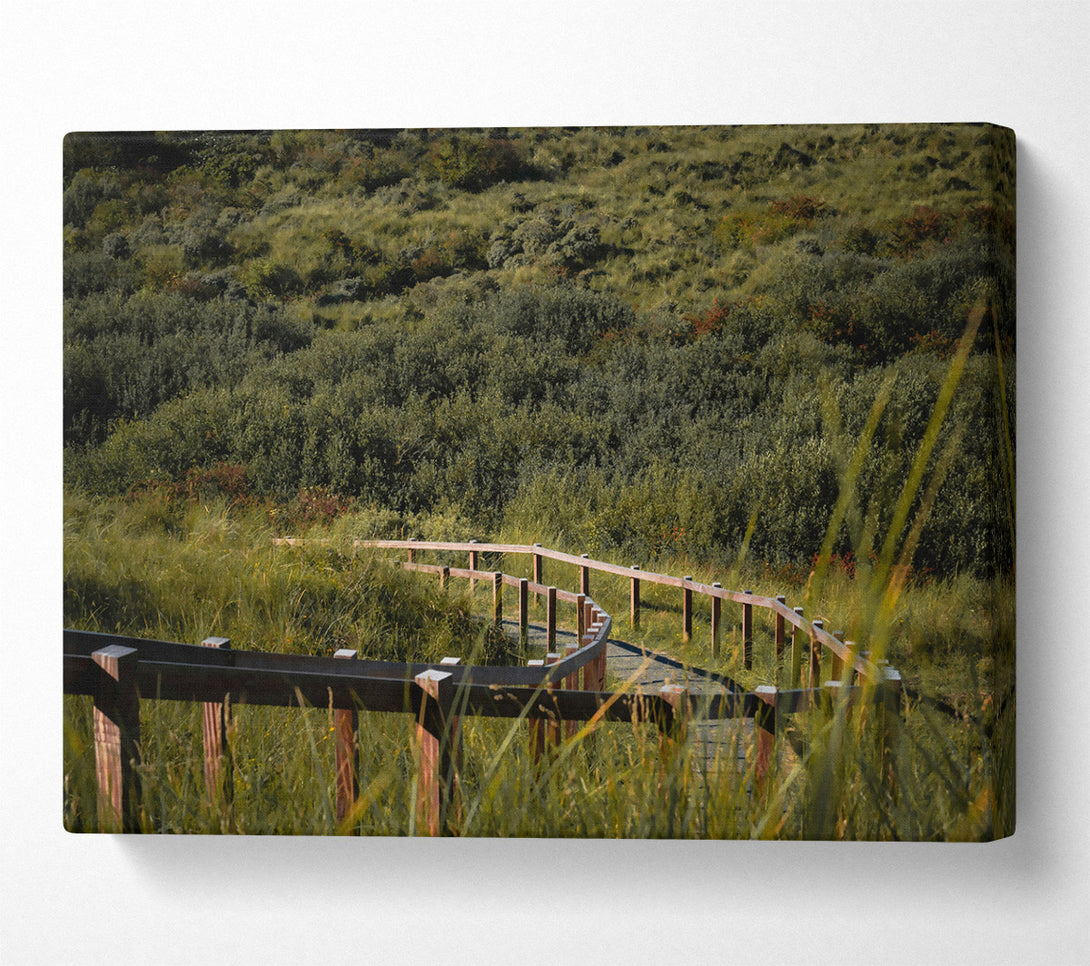  A Canvas Print of Green Path To The Woods Canvas Art