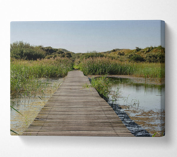  A Canvas Print of Green Path Through Water Canvas Print