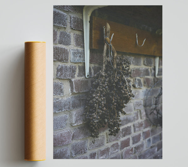 Dark Berries On Brick Poster
