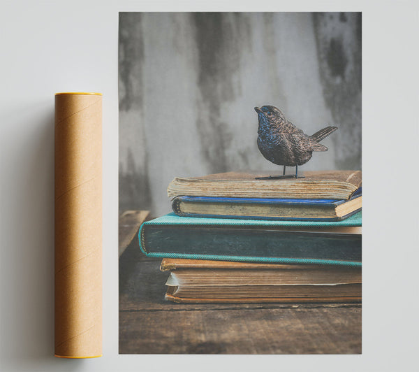 Teal Bird On Books Print