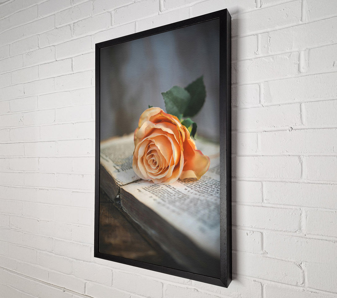  A Canvas Print of Peach Rose On Book Canvas Art