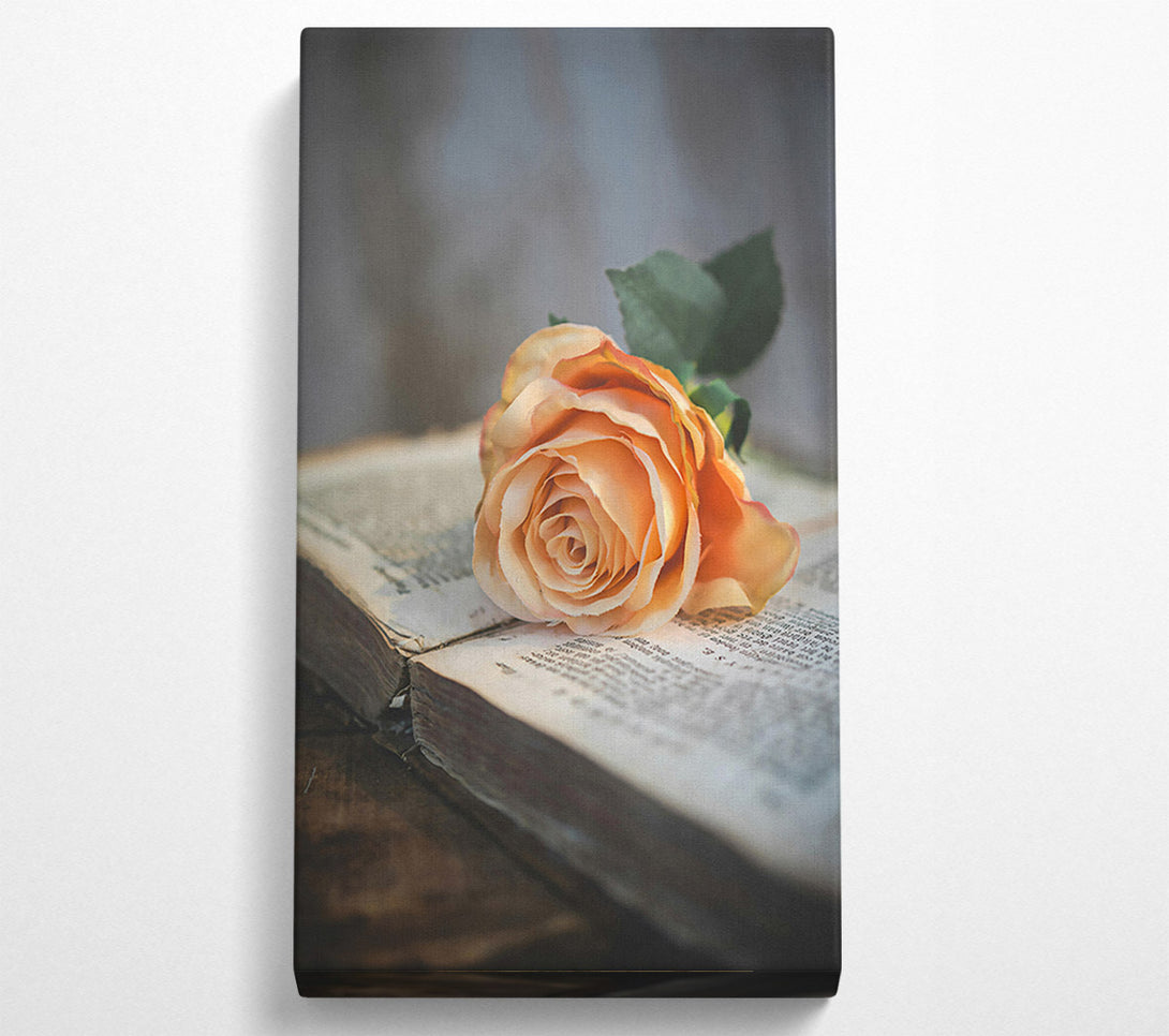  A Canvas Print of Peach Rose On Book Canvas Art