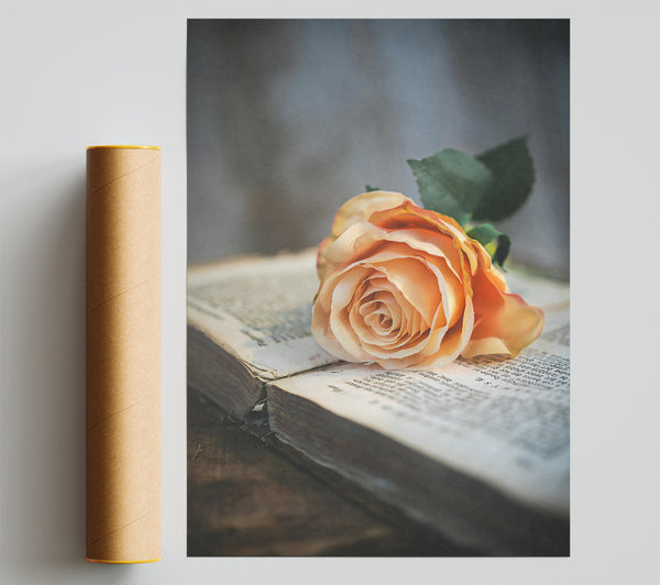 Peach Rose On Book Print