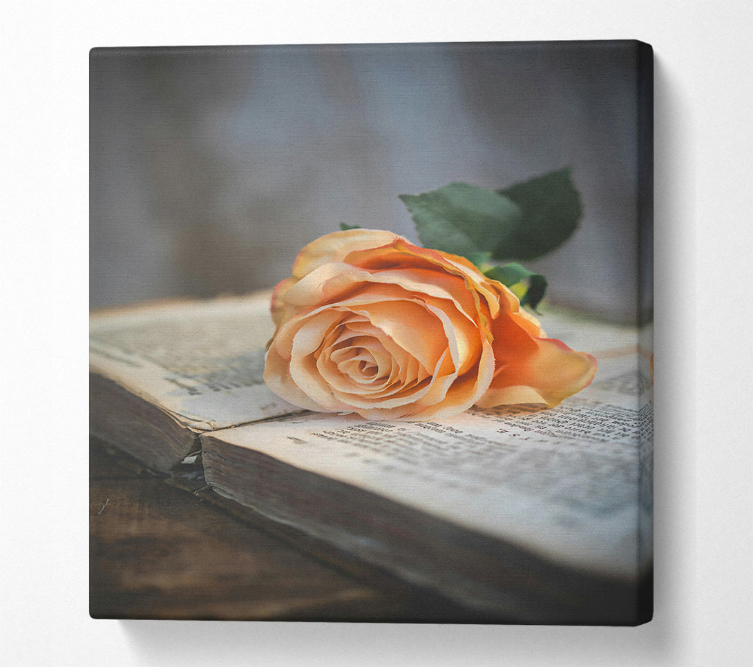  A Canvas Print of Peach Rose On Book Canvas Art