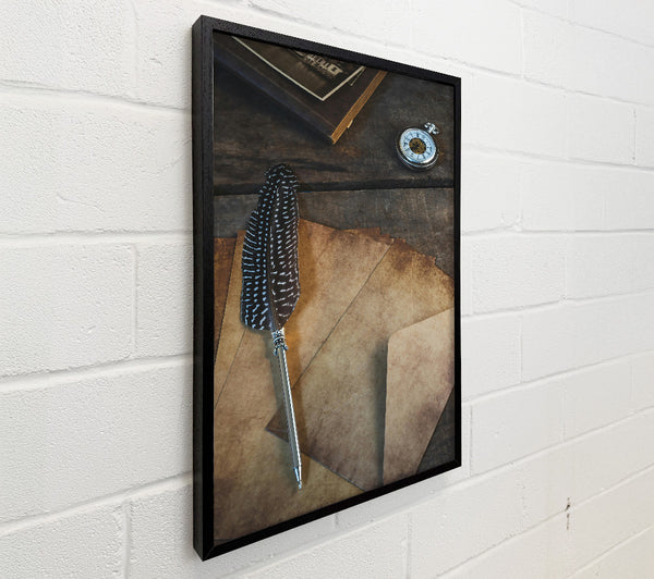 Tanned Feather And Time