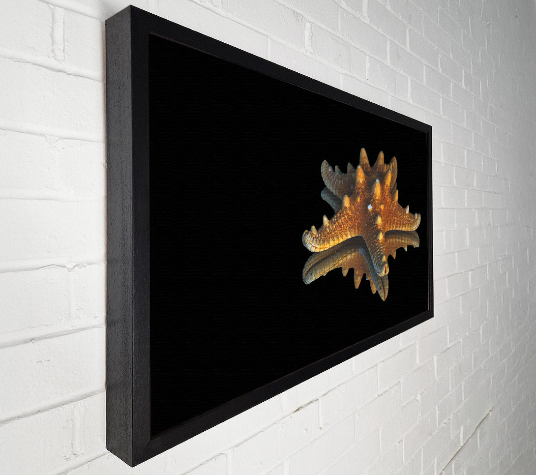  A Canvas Print of Golden Starfish Reflection Canvas Art