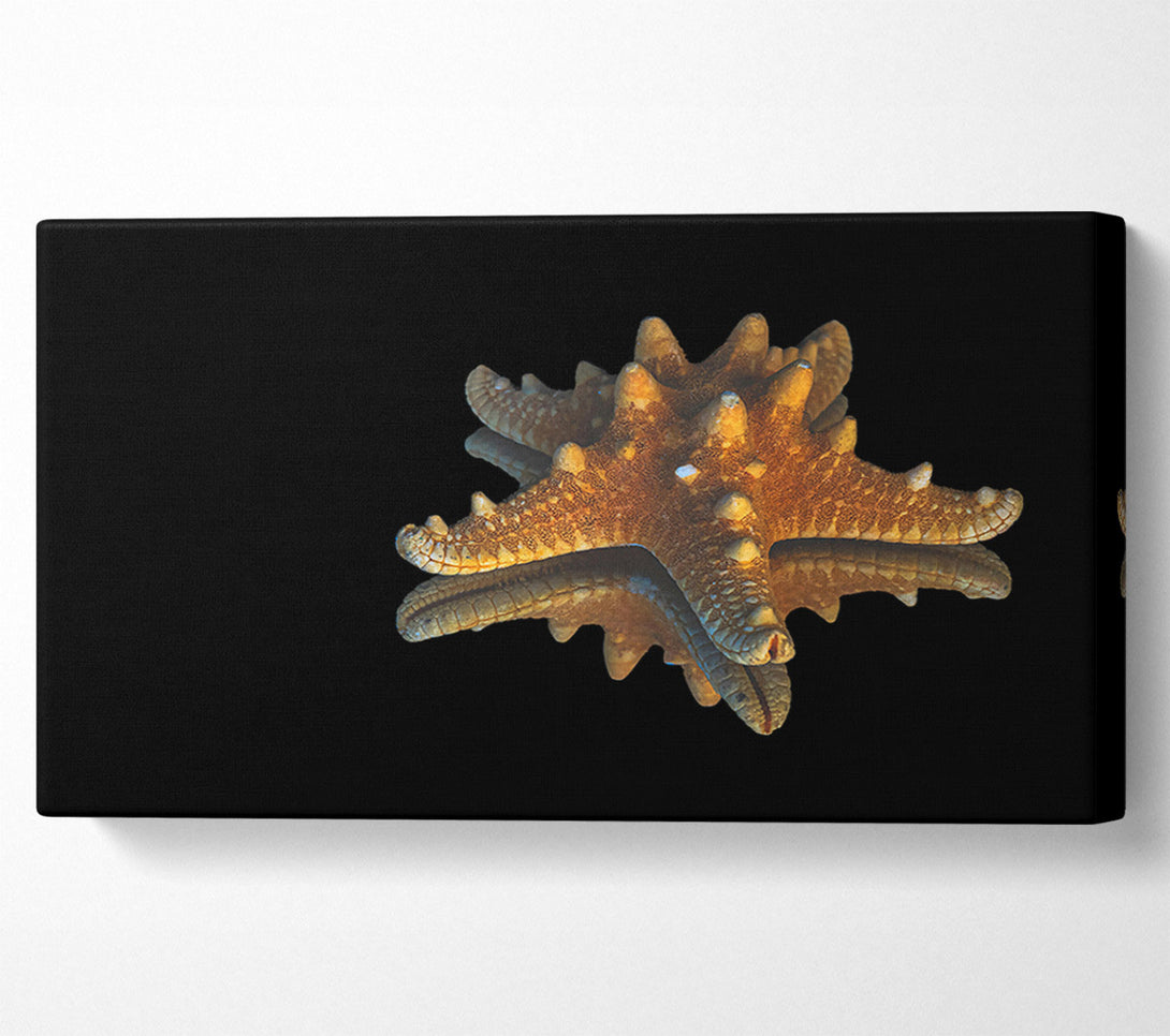  A Canvas Print of Golden Starfish Reflection Canvas Art