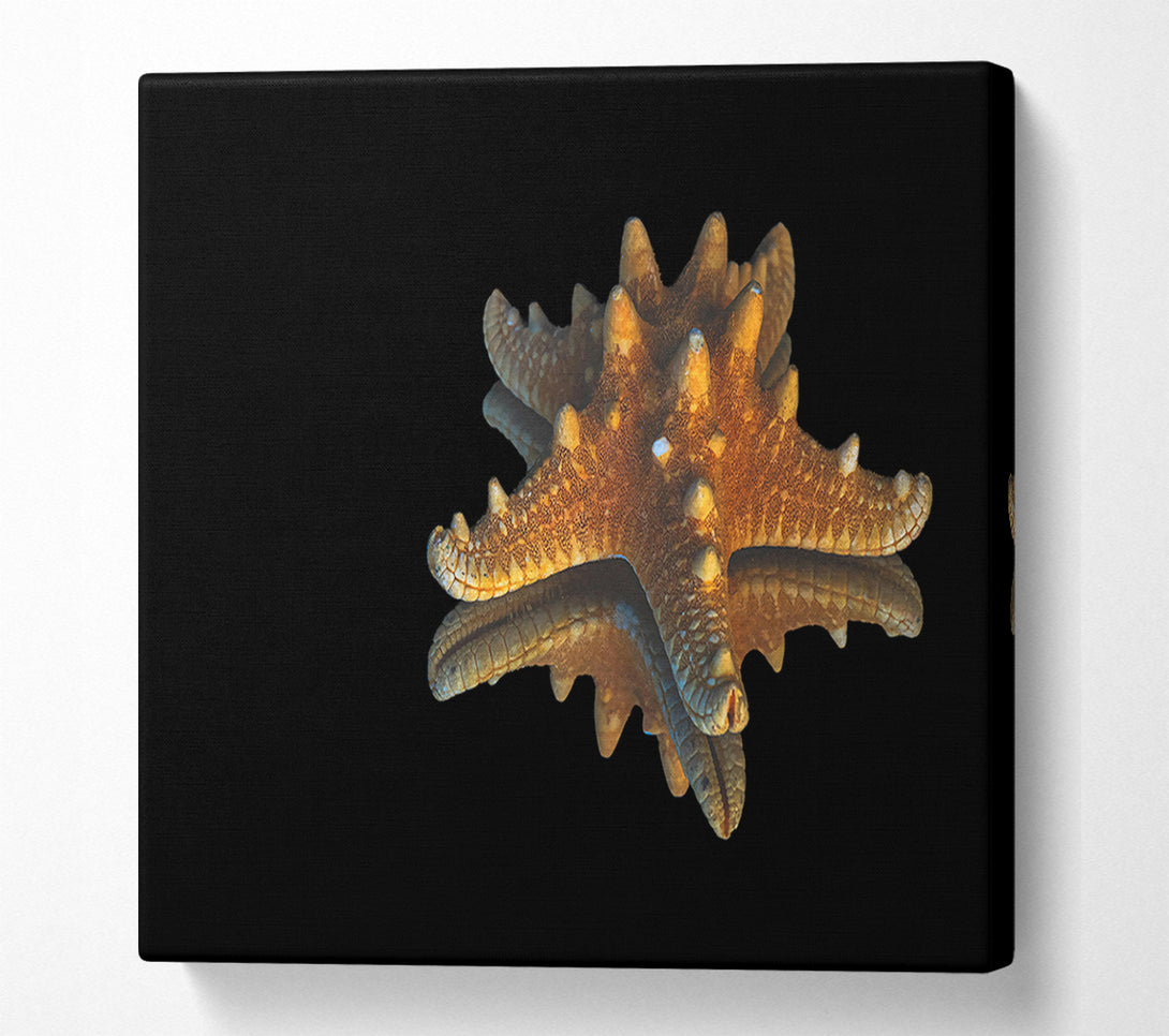 A Canvas Print of Golden Starfish Reflection Canvas Art