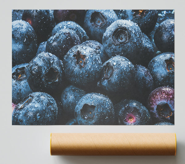 Indigo Blueberry Dewdrops Giclee Print