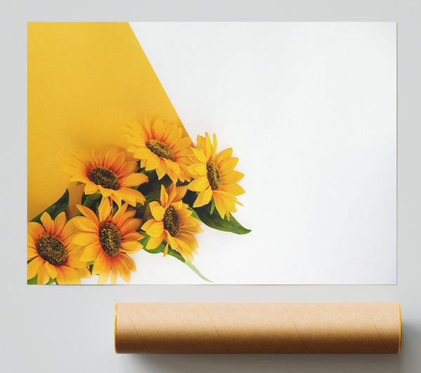Yellow Sunflowers On White Print