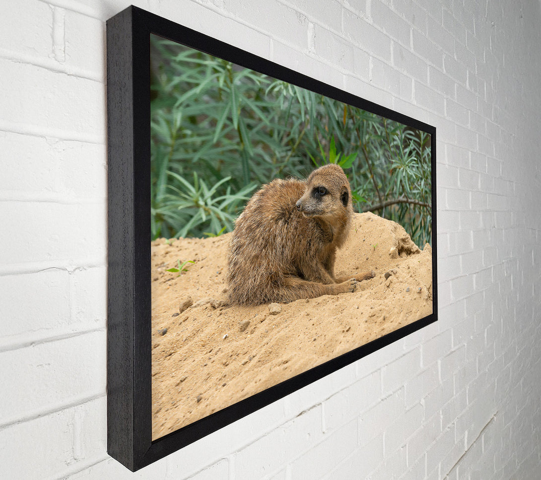  A Canvas Print of Golden Sand Sentinel Canvas Print