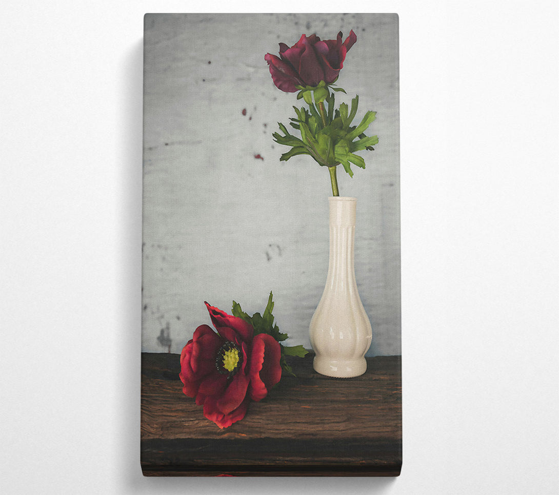  A Canvas Print of Crimson Blooms In White Canvas Print