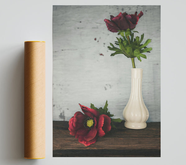 Crimson Blooms In White Poster