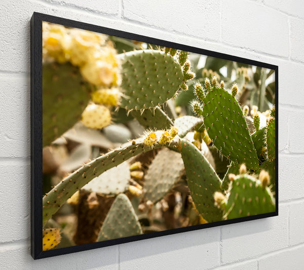 Green Prickly Bloom