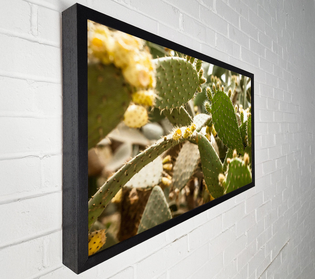  A Canvas Print of Green Prickly Bloom Canvas Print