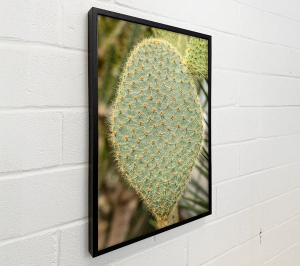 Green Prickly Heart