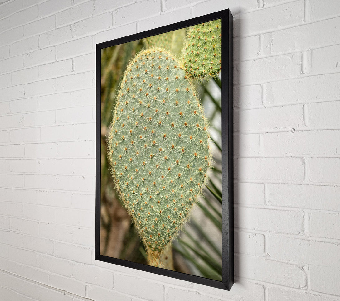  A Canvas Print of Green Prickly Heart Canvas Art