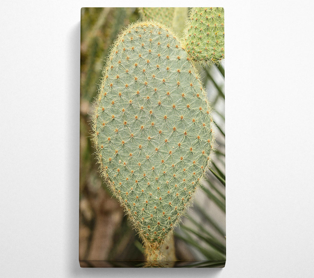  A Canvas Print of Green Prickly Heart Canvas Art