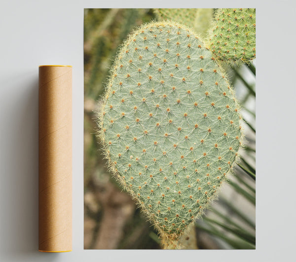Green Prickly Heart Print