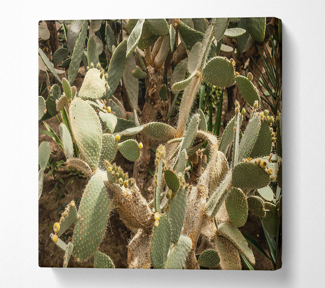  A Canvas Print of Green Cactus Blooms Canvas Art