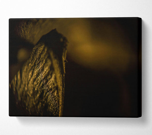  A Canvas Print of Golden Dust Reflection Canvas Art