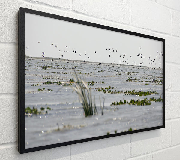Grey Water Reflections
