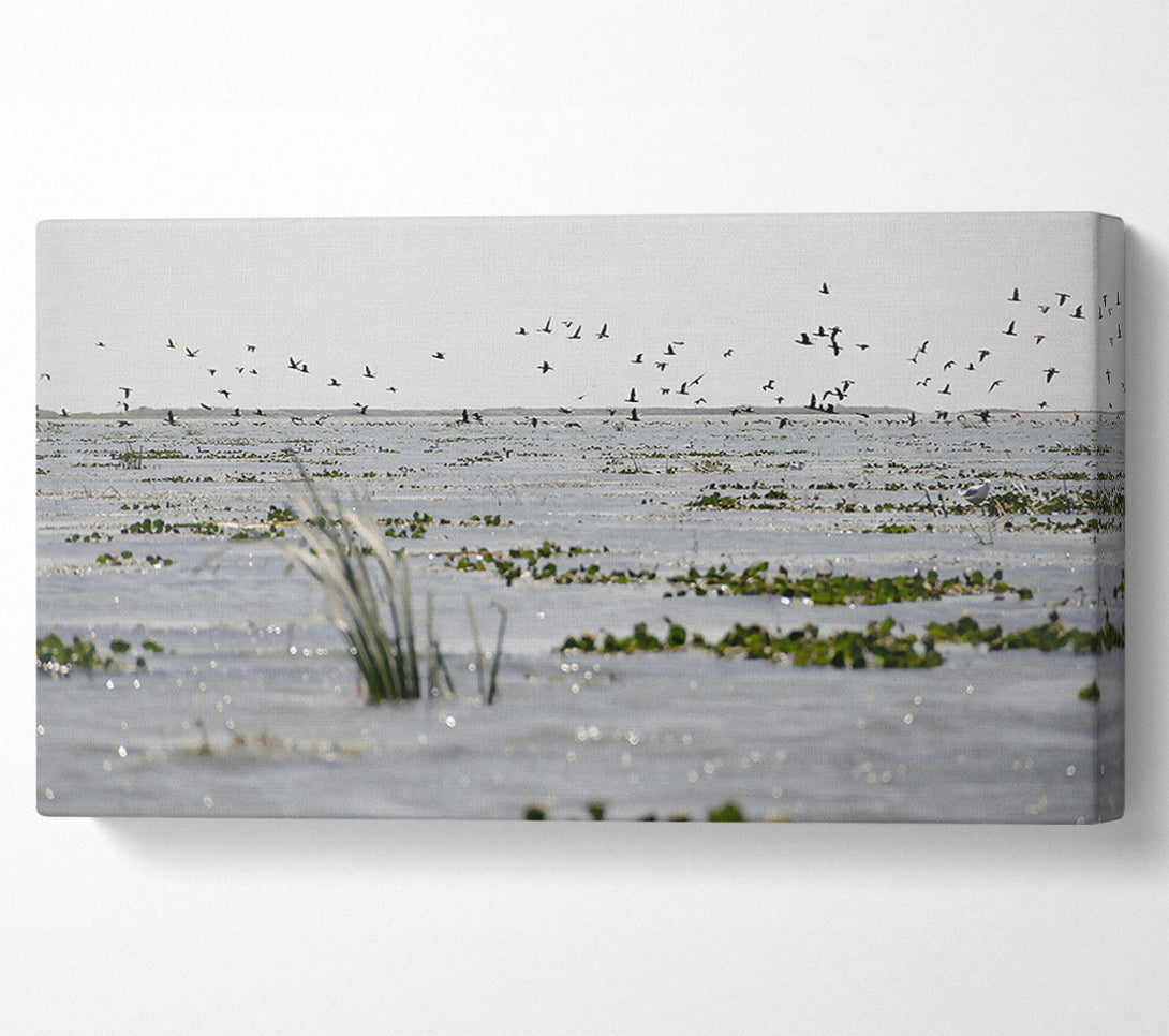 A Canvas Print of Grey Water Reflections Canvas Print