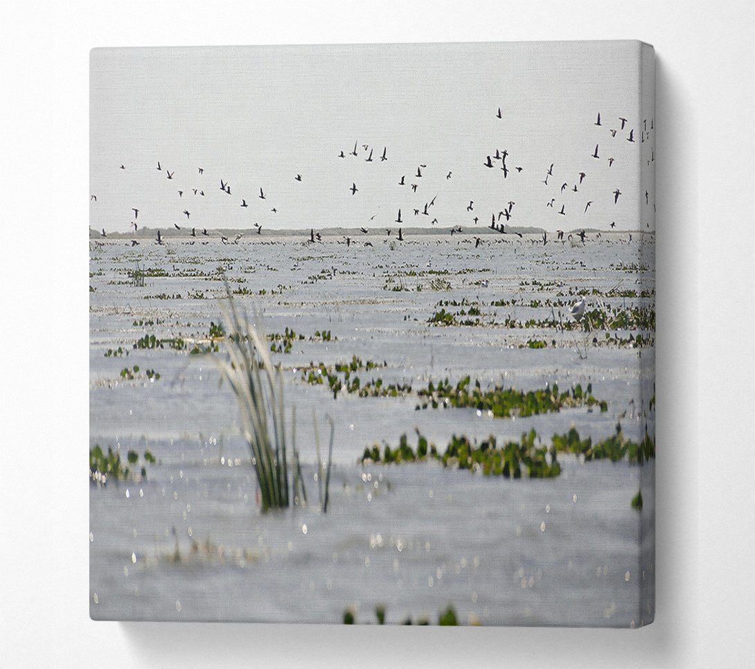  A Canvas Print of Grey Water Reflections Canvas Print