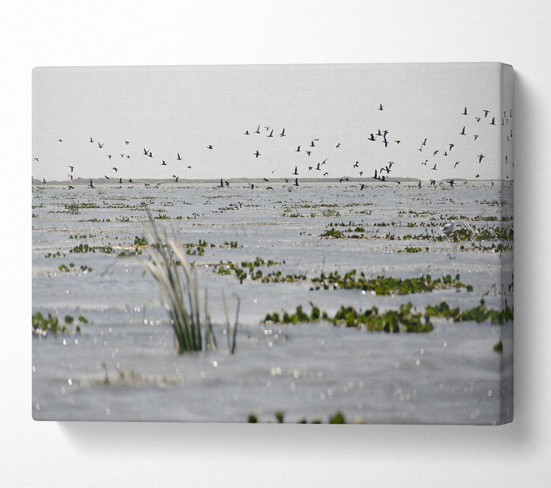  A Canvas Print of Grey Water Reflections Canvas Print