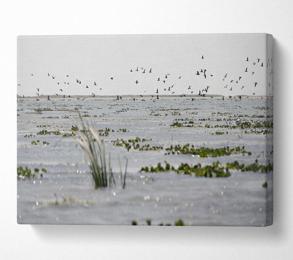  A Canvas Print of Grey Water Reflections Canvas Print