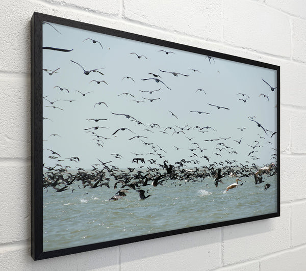 Blue Seabird Swarm