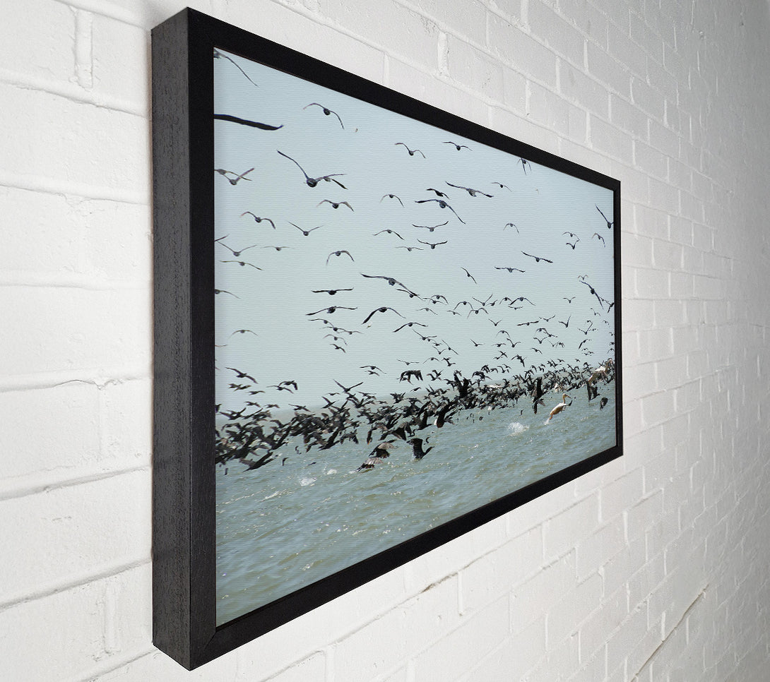  A Canvas Print of Blue Seabird Swarm Canvas Art