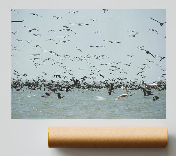 Blue Seabird Swarm Print