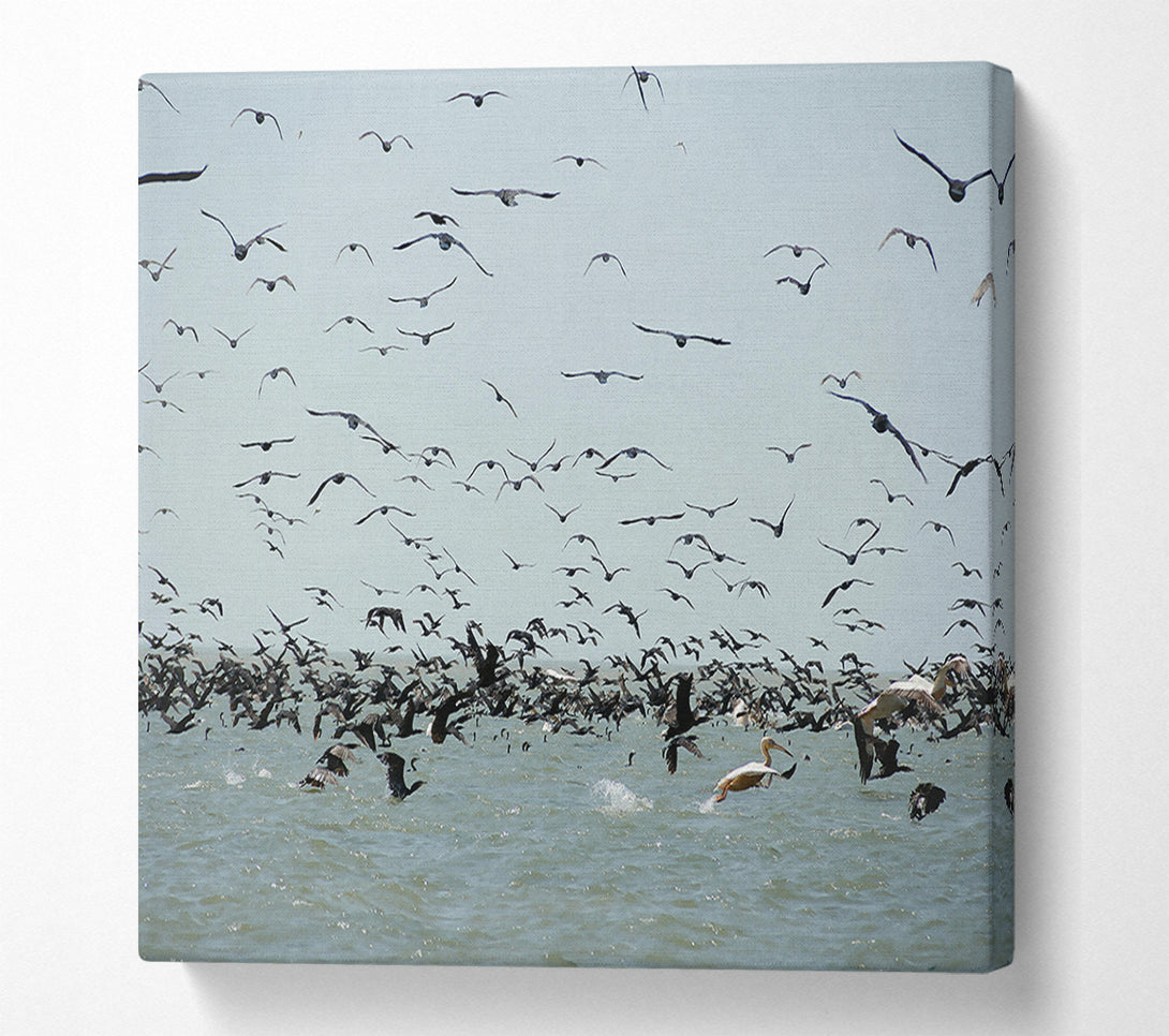  A Canvas Print of Blue Seabird Swarm Canvas Art