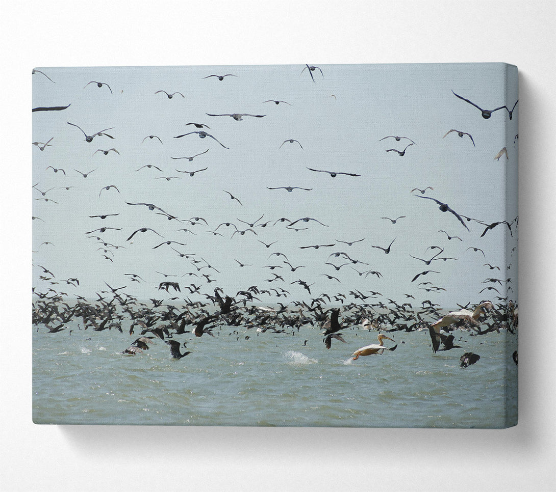  A Canvas Print of Blue Seabird Swarm Canvas Art