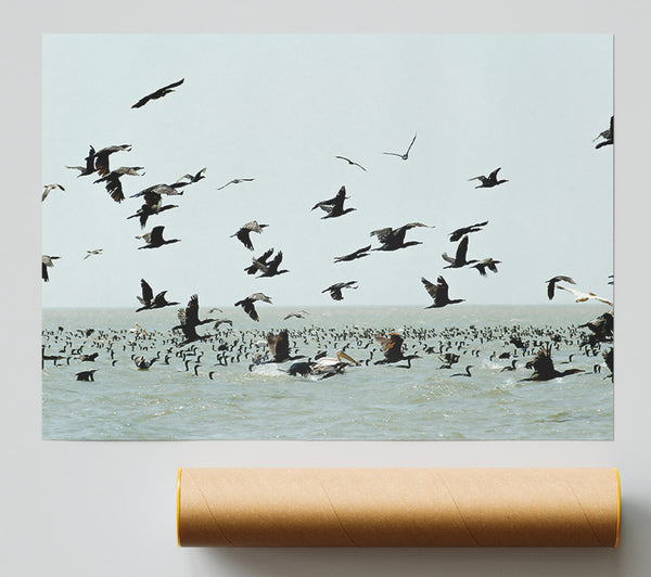Blue Sky Takeoff Print
