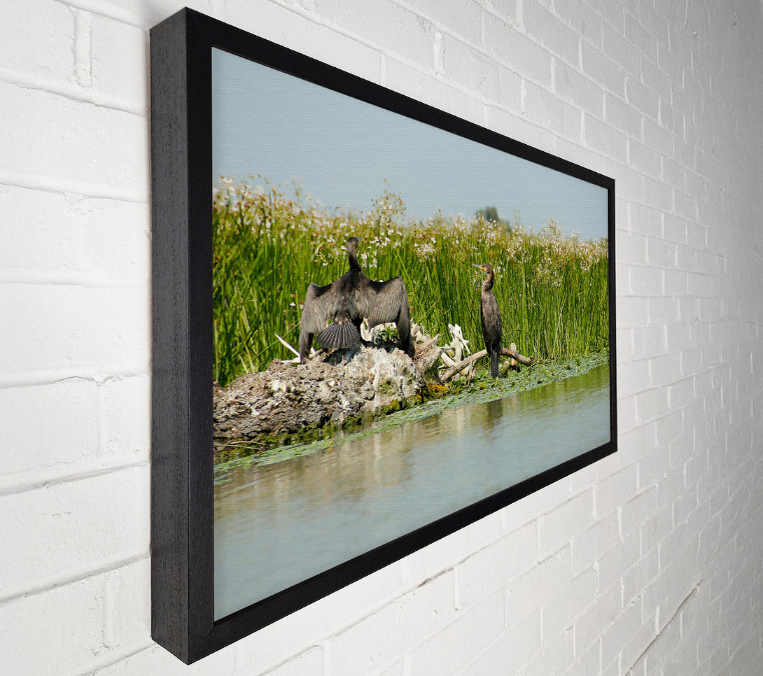  A Canvas Print of Green Cormorant Haven Canvas Art