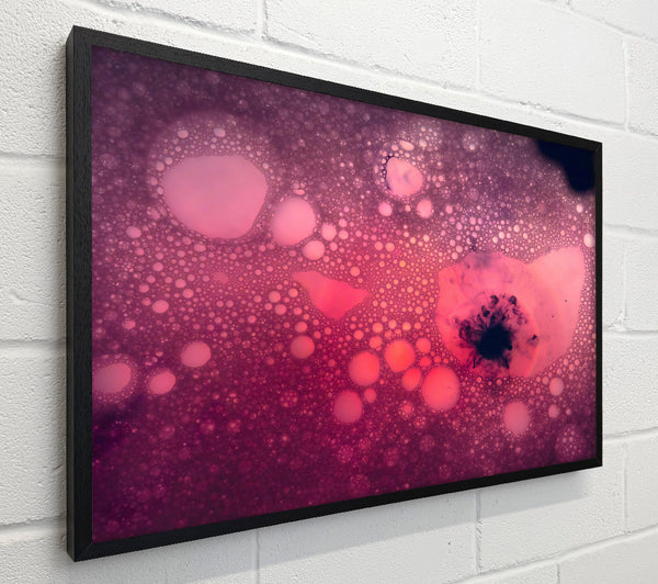 Crimson Bubble Burst