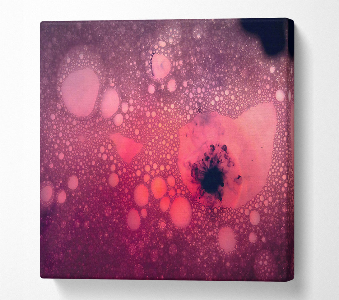  A Canvas Print of Crimson Bubble Burst Canvas Print