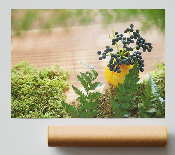 Yellow Berries On Moss Giclee Print