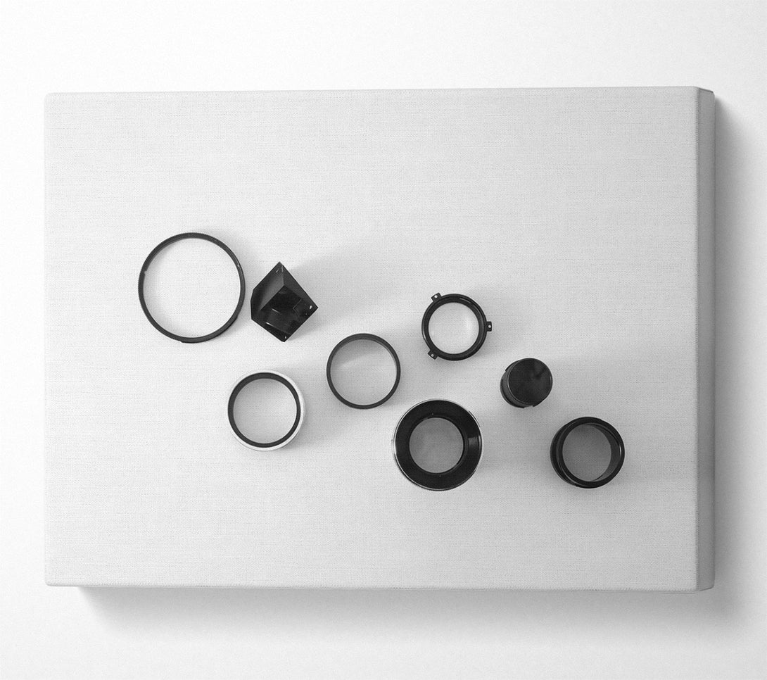  A Canvas Print of Black Rings And Cylinders Canvas Print