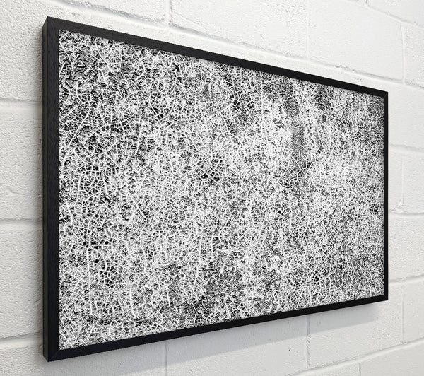 White Crackled Canvas