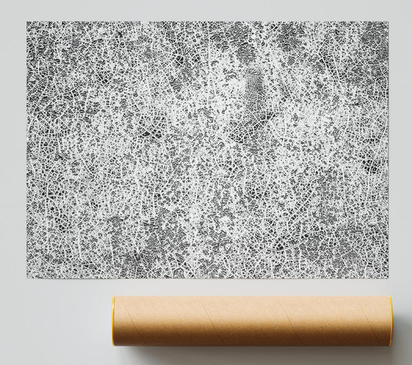 White Crackled Canvas Giclee Print